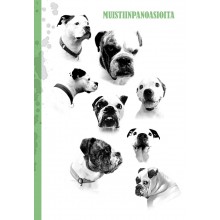 Muistiinpanoasioita